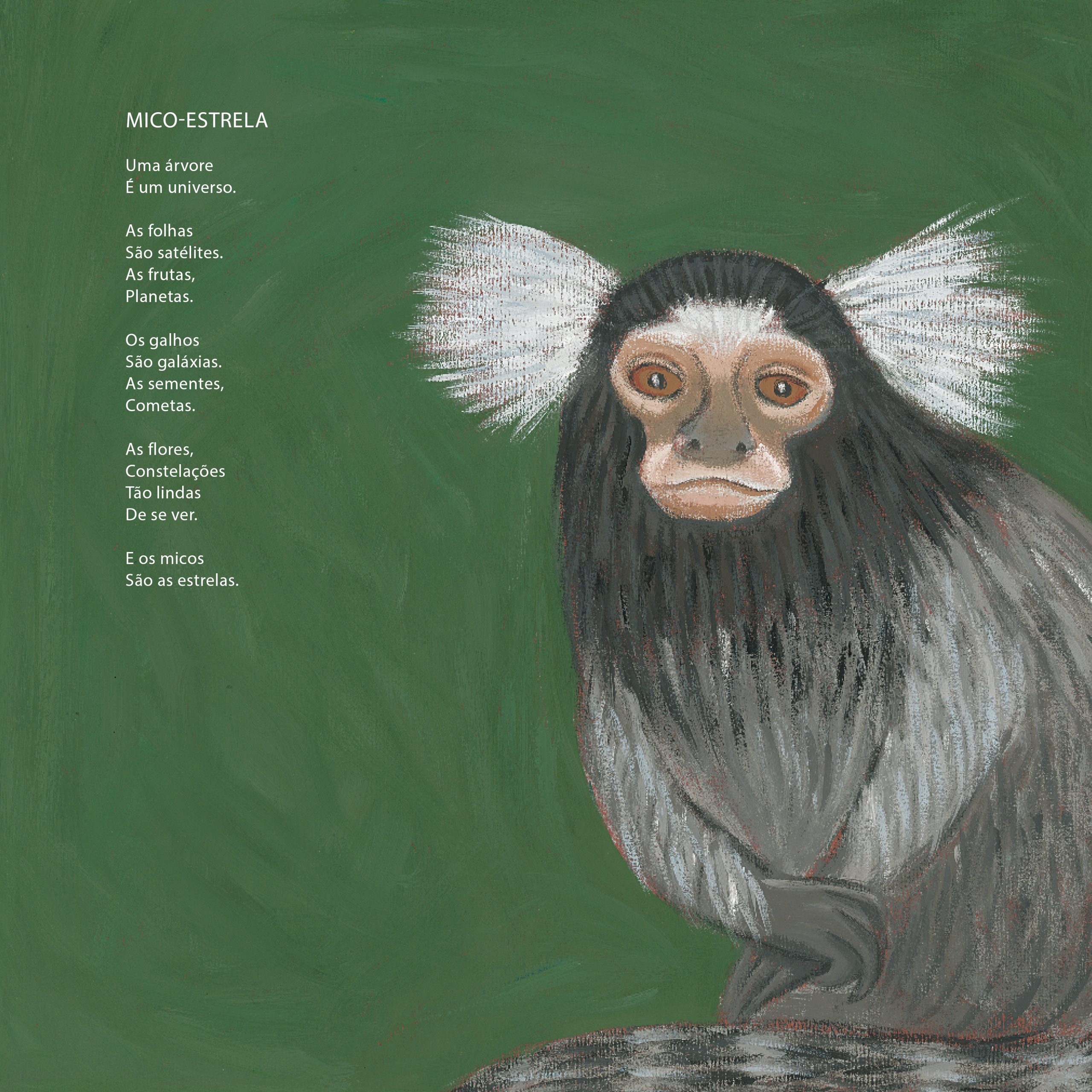 Boniteza silvestre - Imagem 4