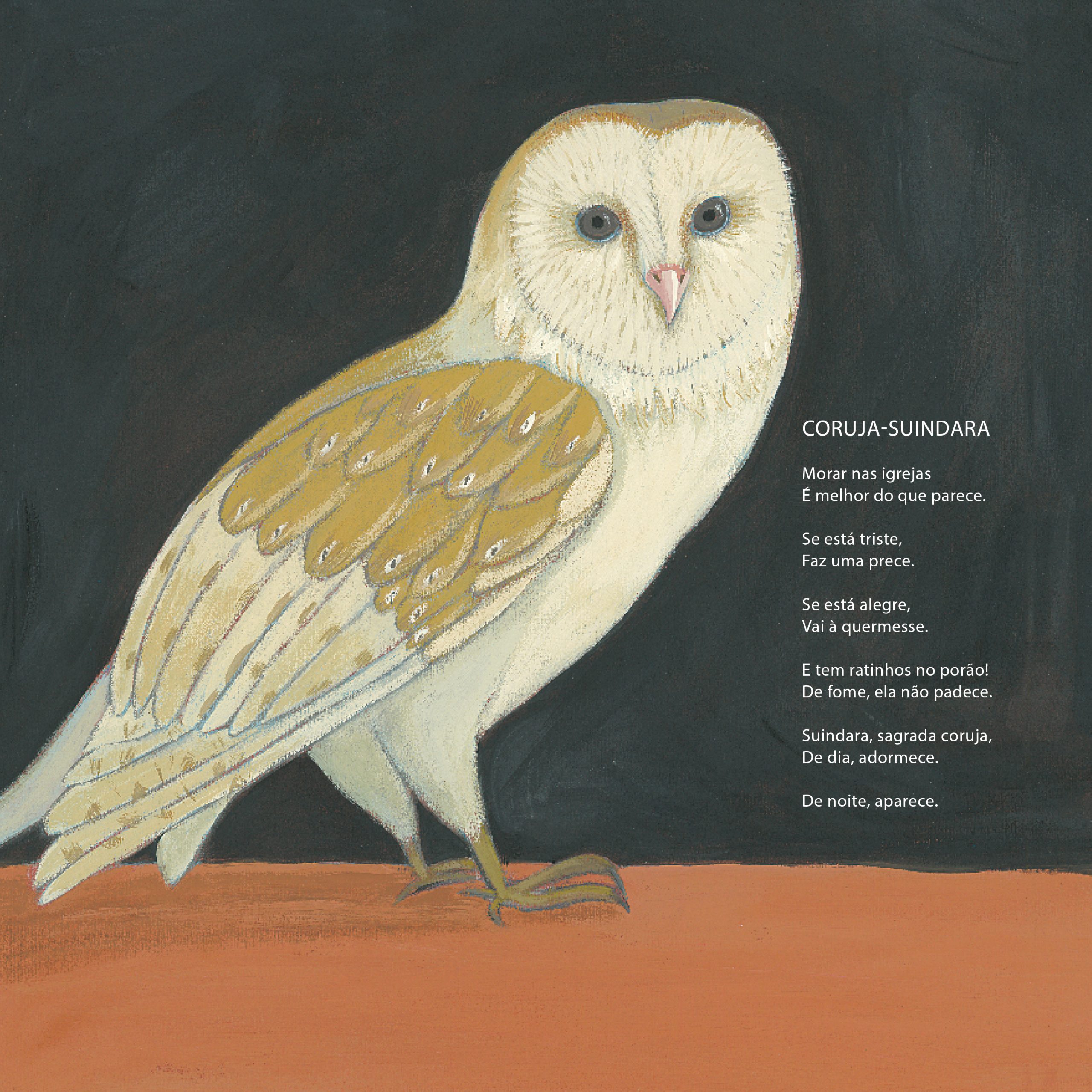 Boniteza silvestre - Imagem 5