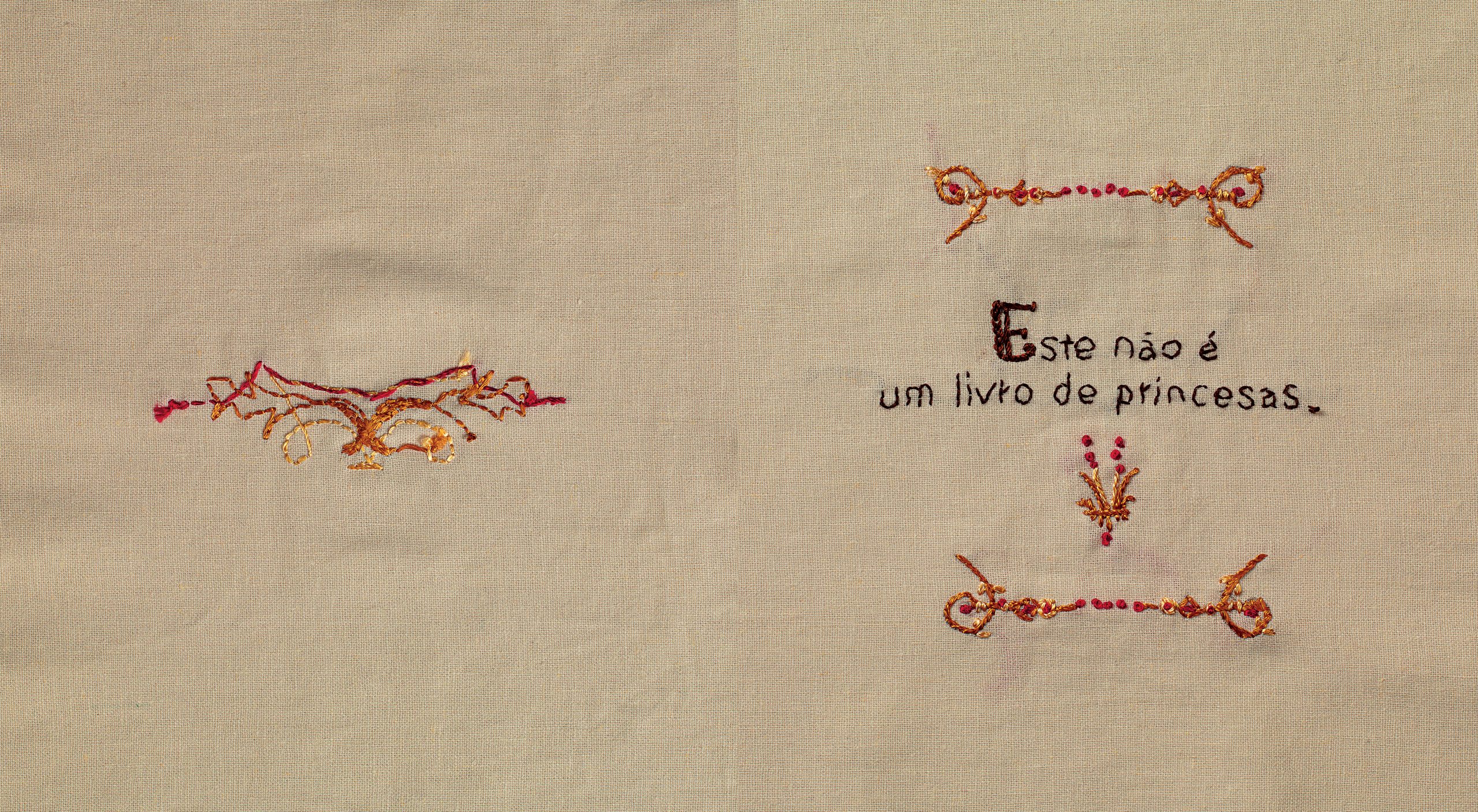 Este não é um livro de princesas - Imagem 4