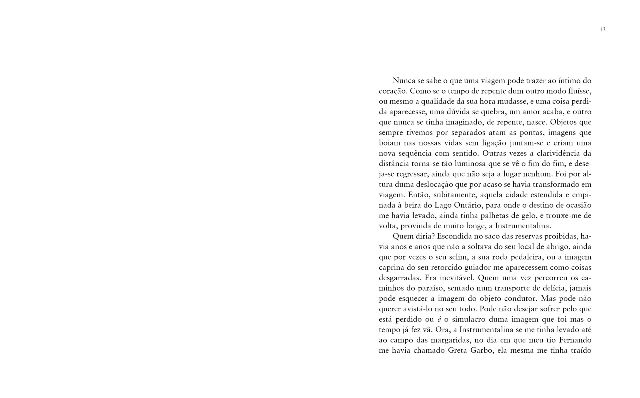 A instrumentalina - Imagem 6