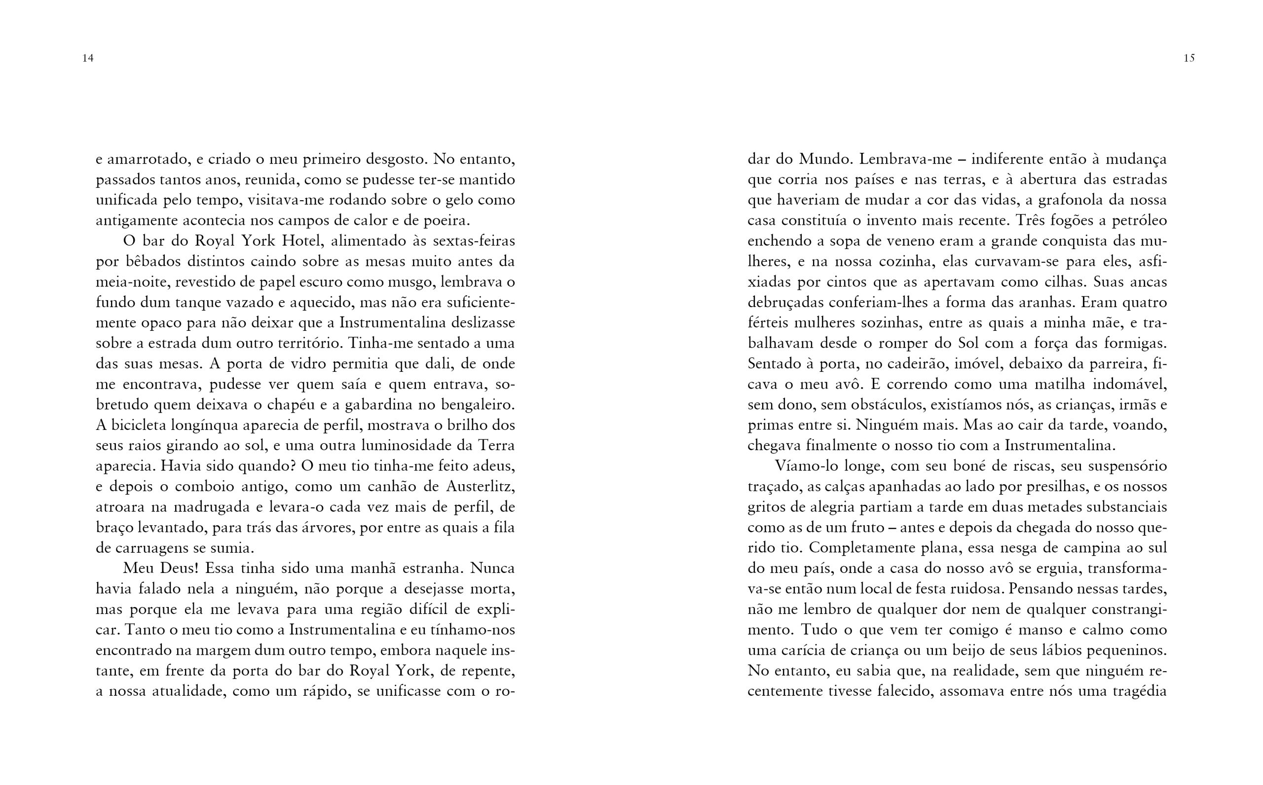A instrumentalina - Imagem 7