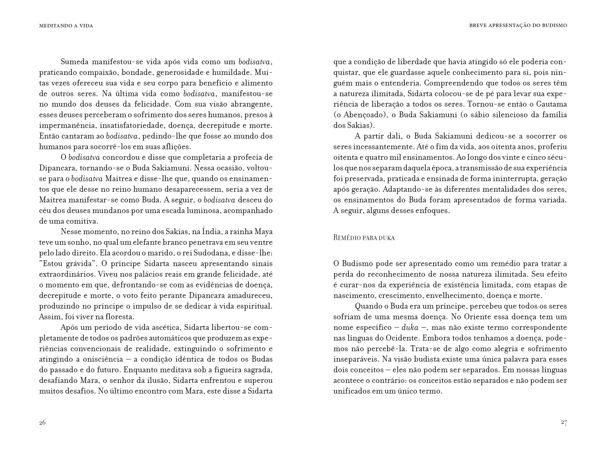 Meditando a vida - Imagem 13