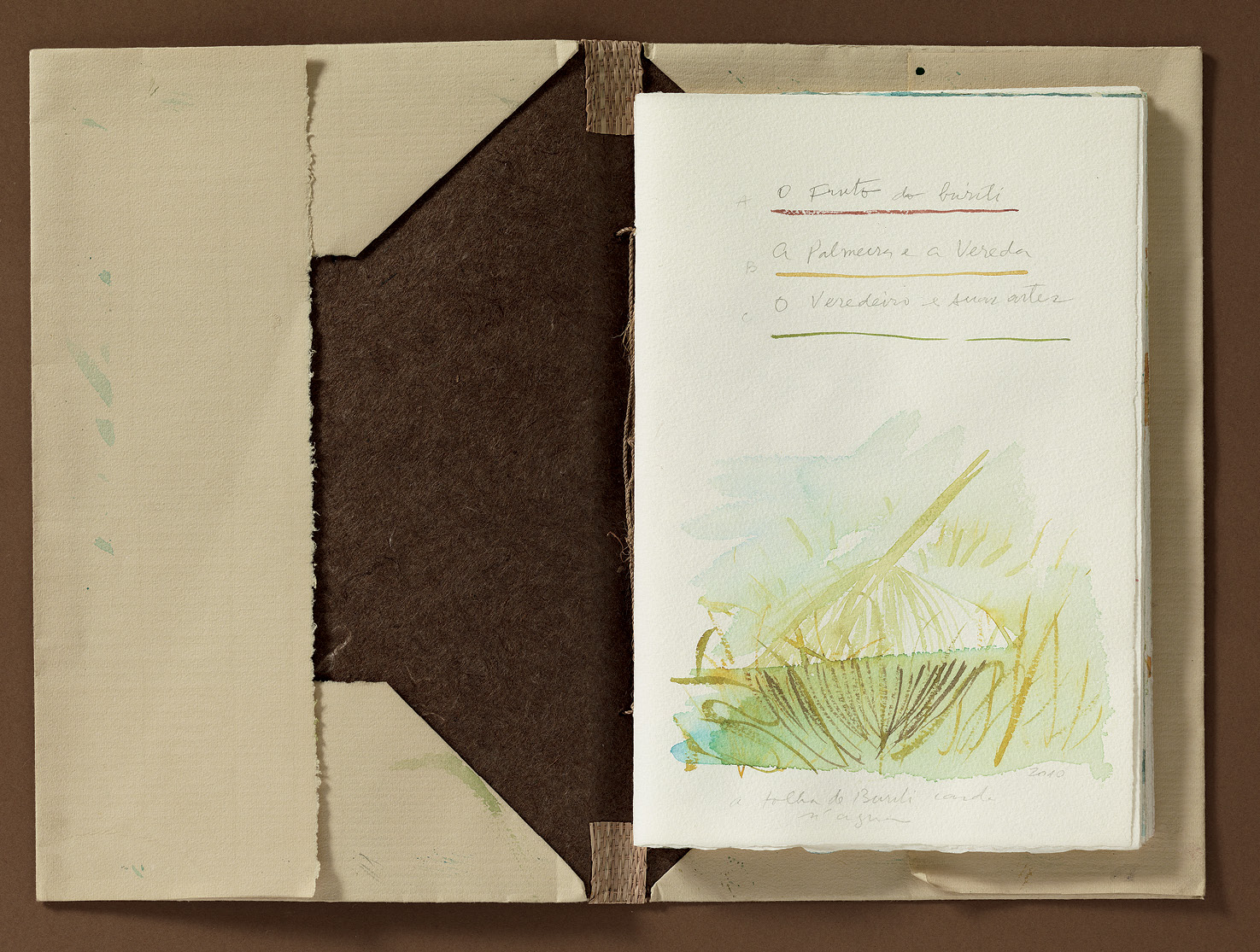 Buriti - Imagem 5