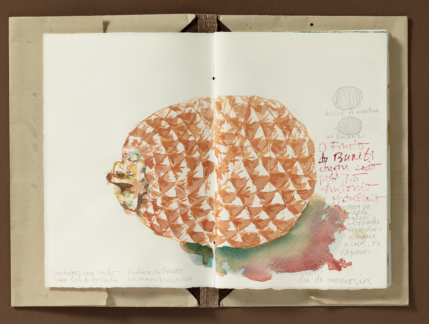 Buriti - Imagem 6