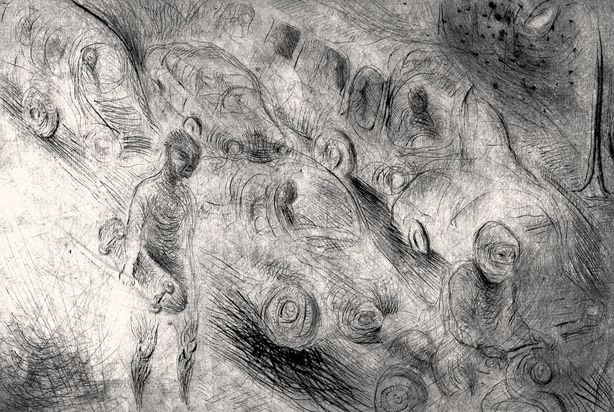 Desequilibristas - Imagem 3