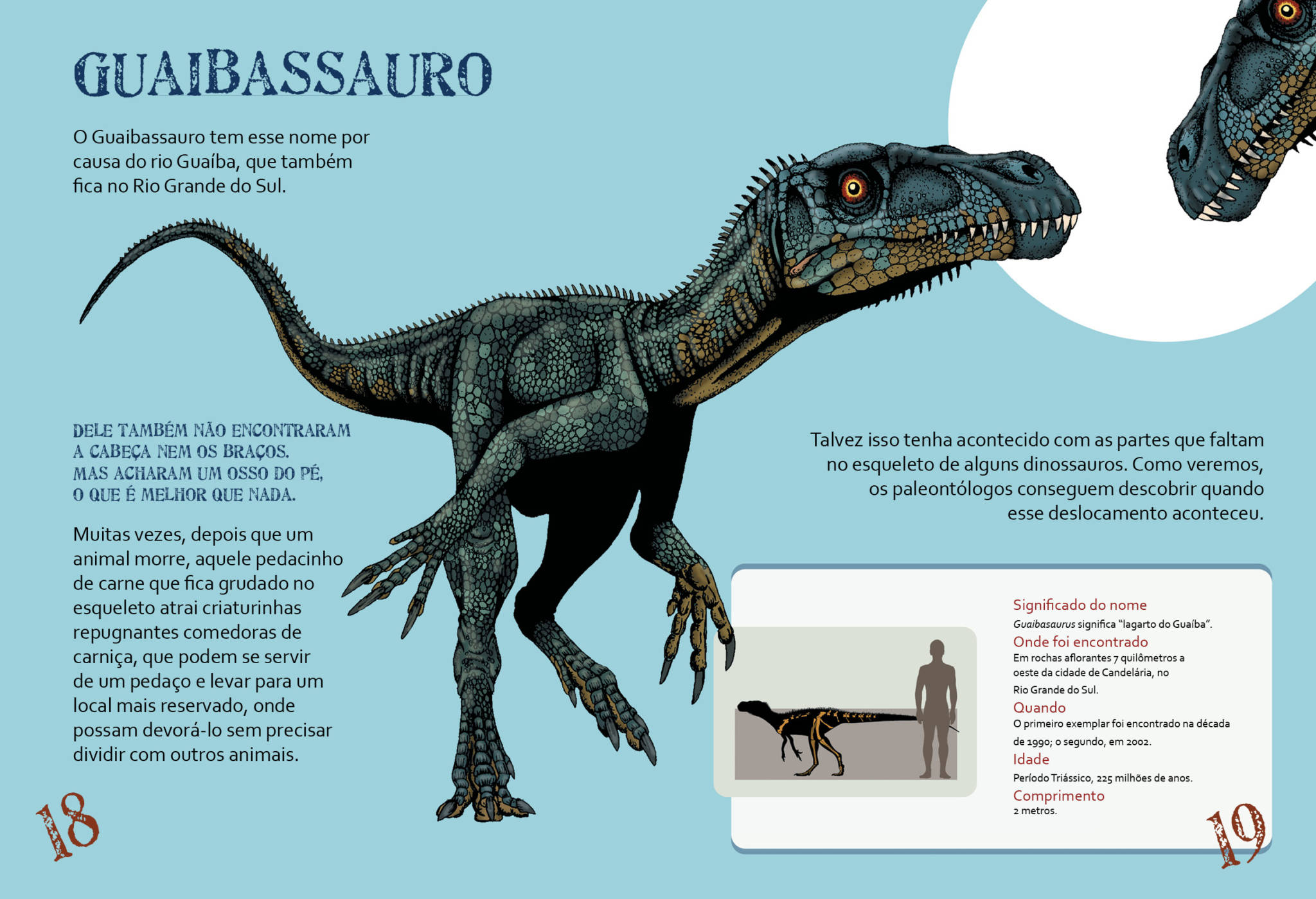 Dinos do Brasil - Imagem 4