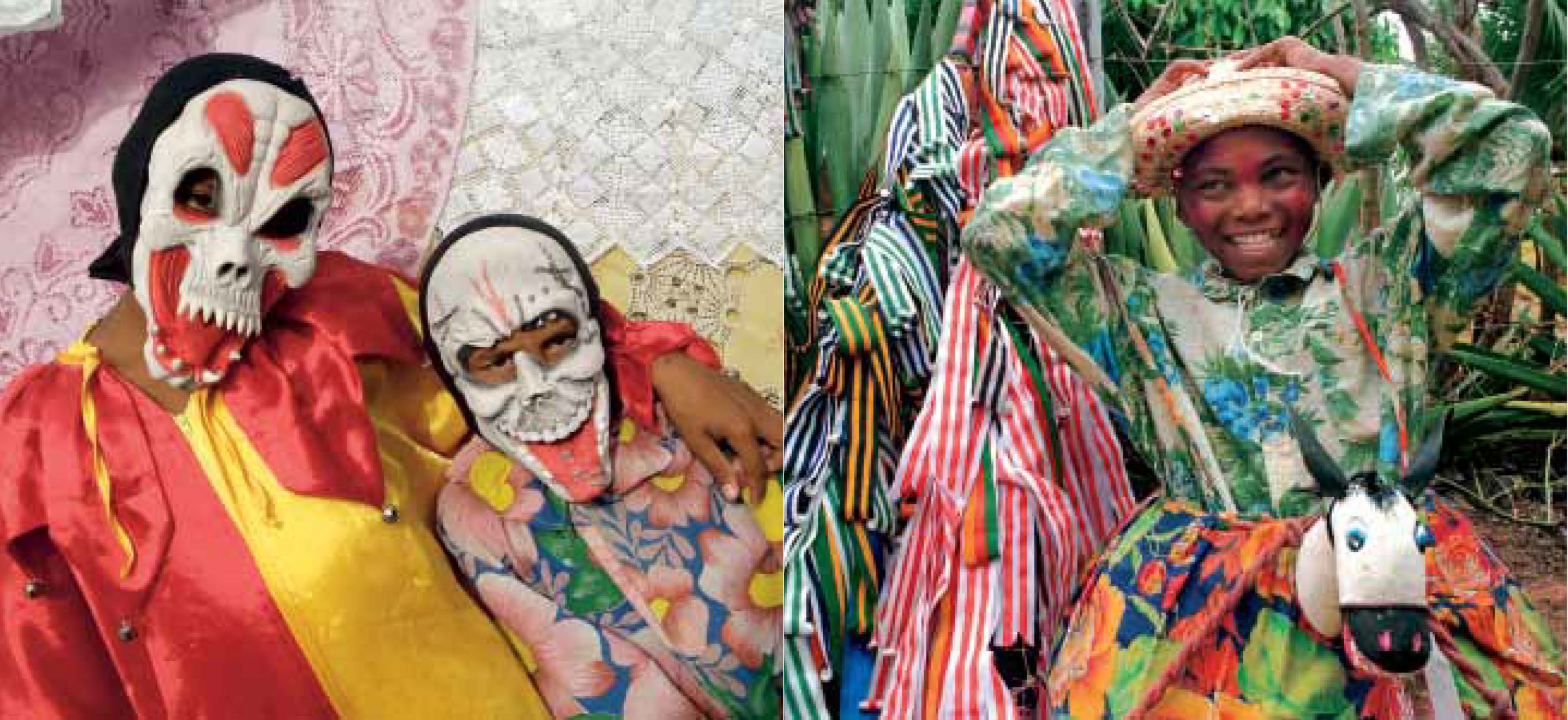 Carnavais do Brasil - Imagem 4