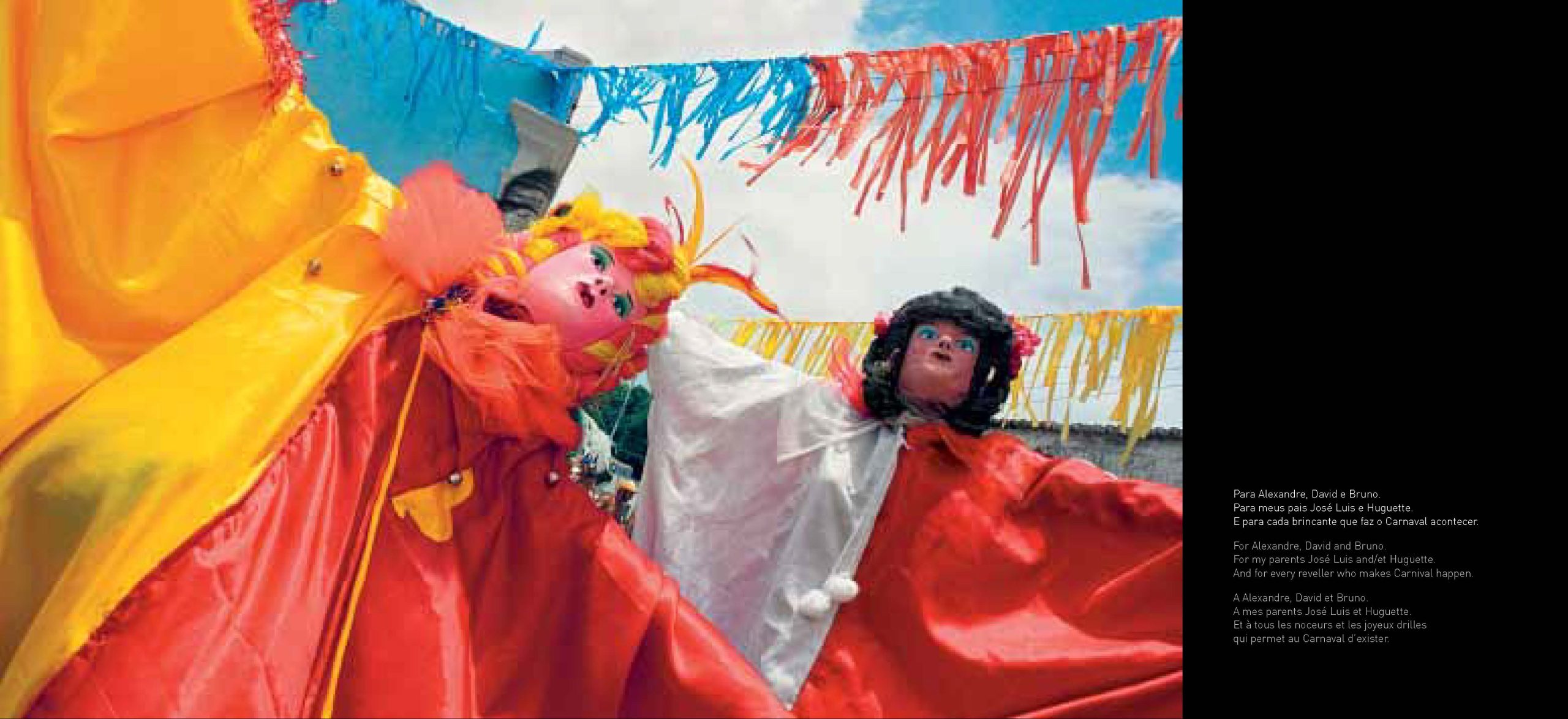 Carnavais do Brasil - Imagem 6