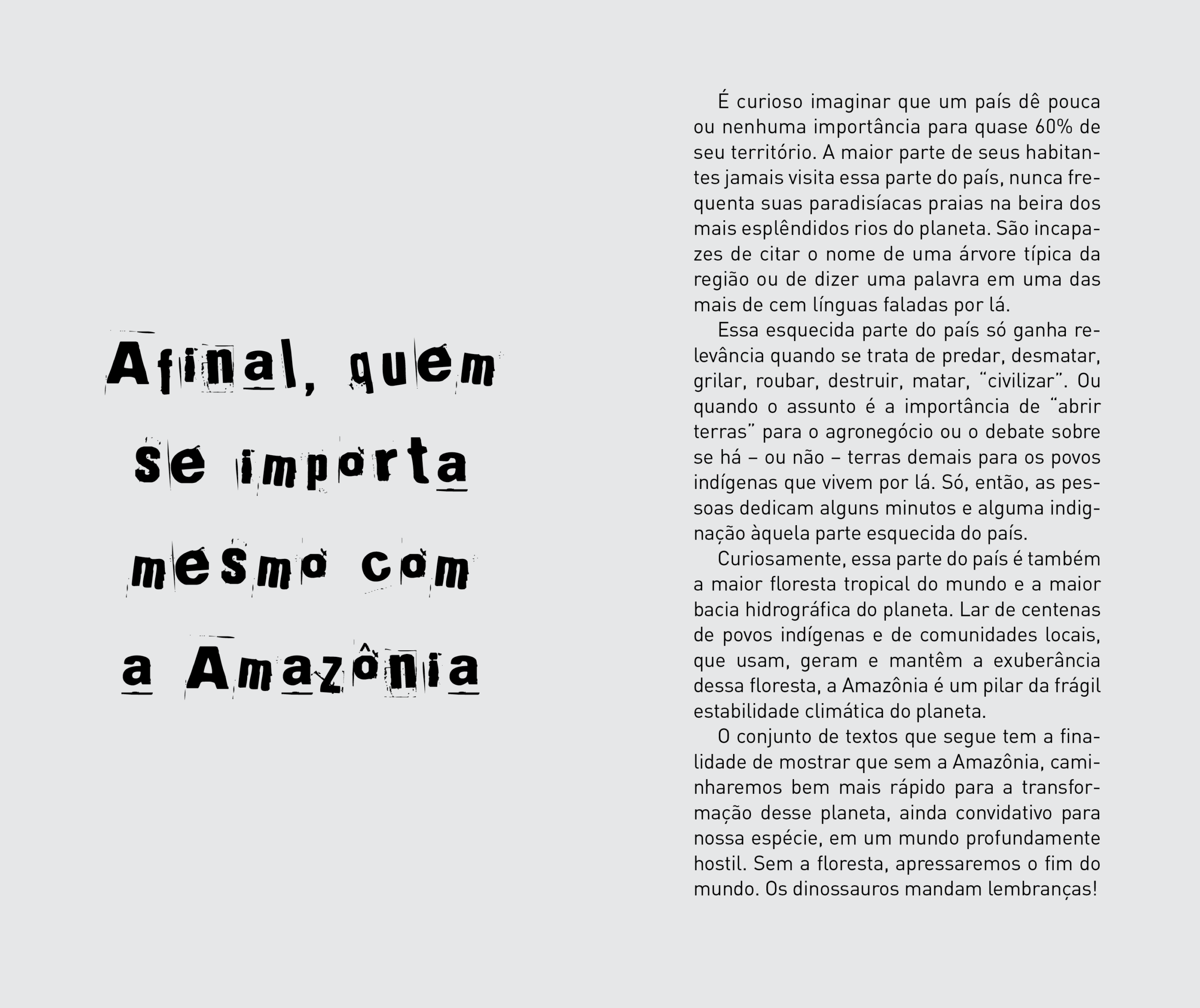 Amazônia: e eu com isso? - Imagem 3