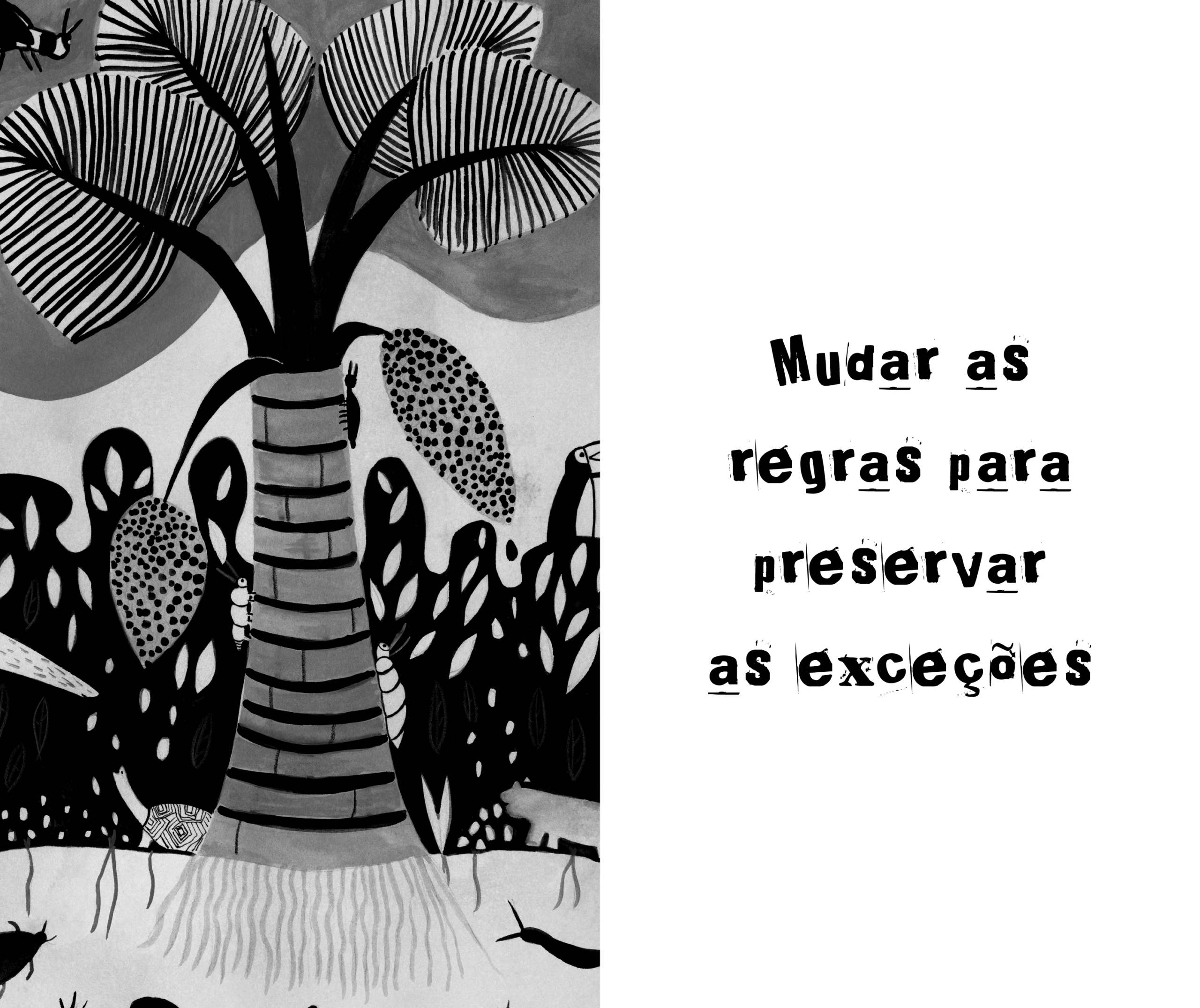 Amazônia: e eu com isso? - Imagem 4