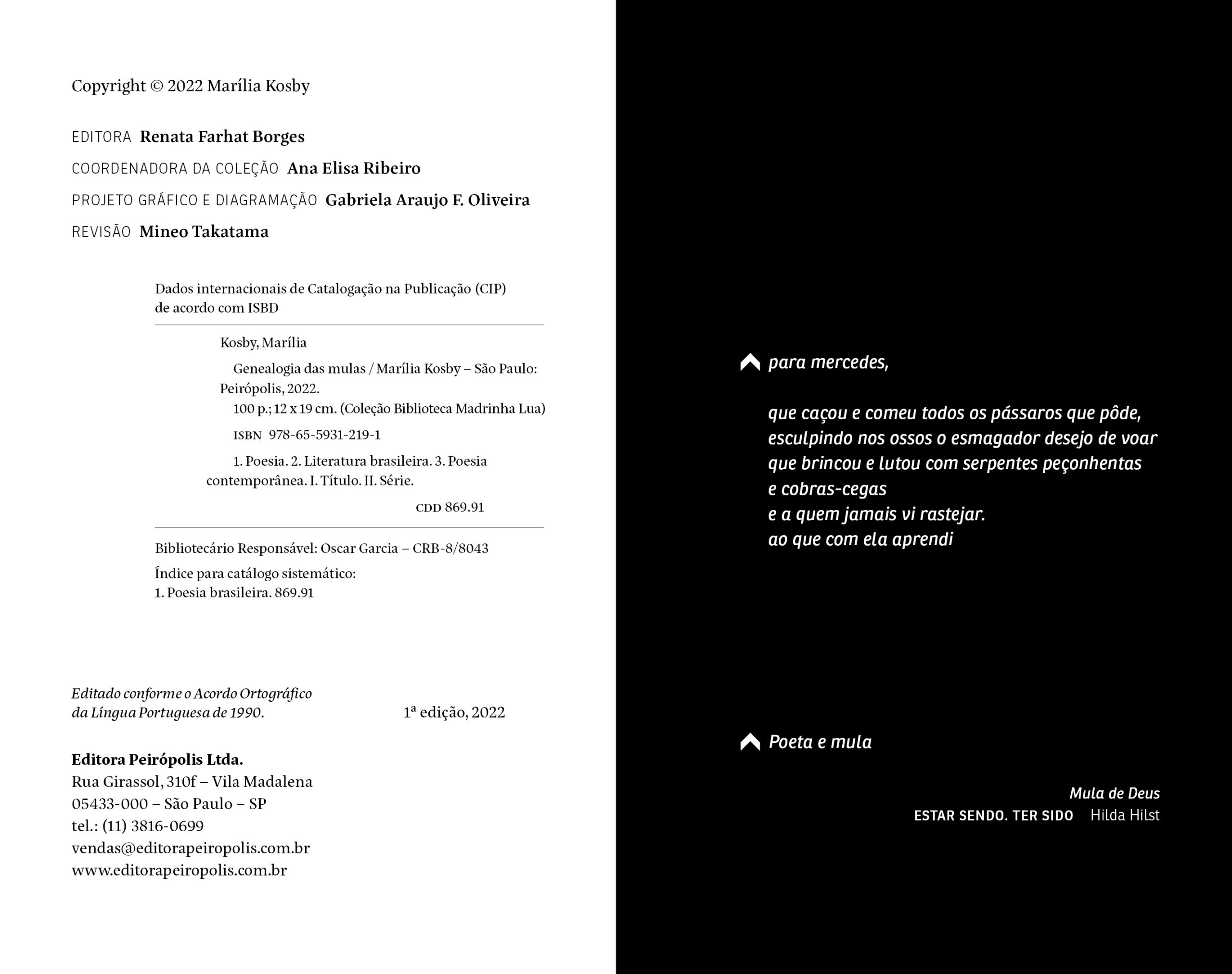 Genealogia das mulas - Imagem 3