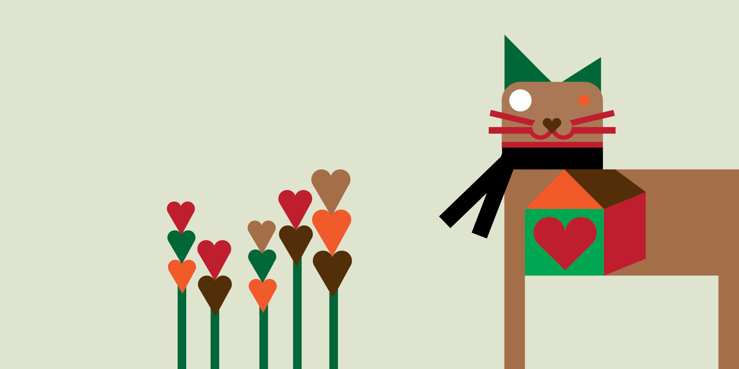 Gato gato - Imagem 4