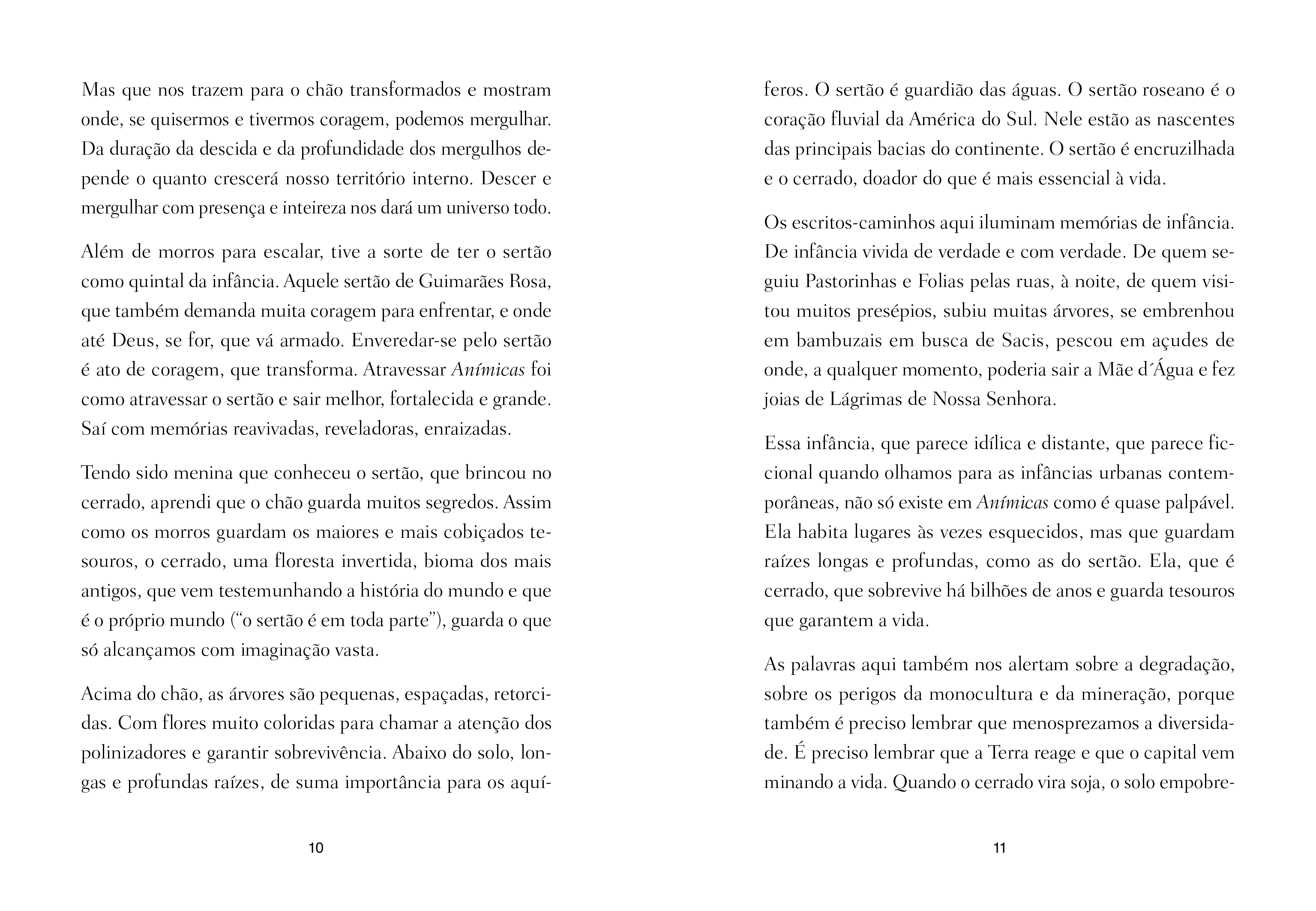 Anímicas - Imagem 4