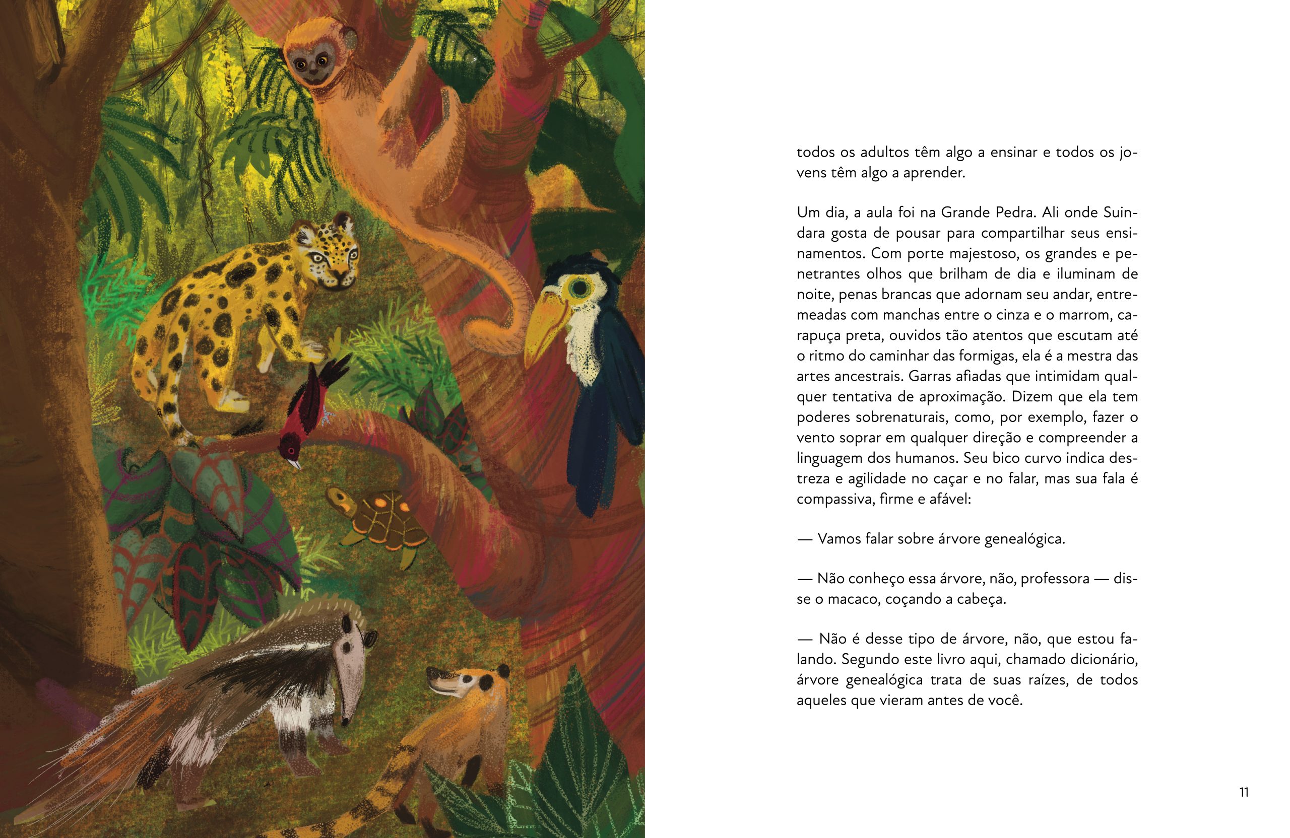 Corre, Cotia - Imagem 5