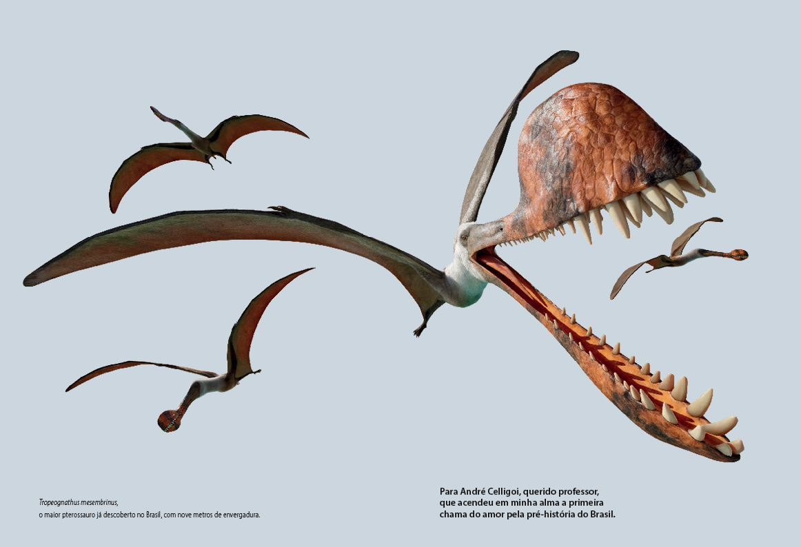 Pterossauros do Brasil - Imagem 4