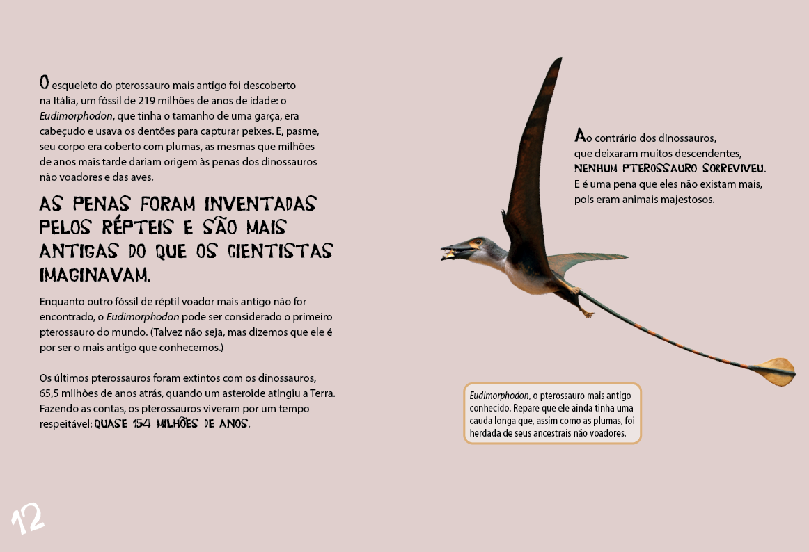 Pterossauros do Brasil - Imagem 7
