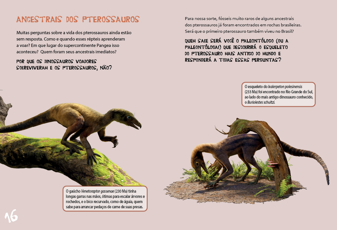 Pterossauros do Brasil - Imagem 9