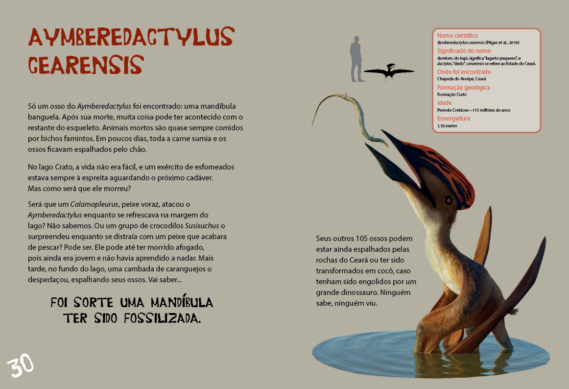 Pterossauros do Brasil - Imagem 12