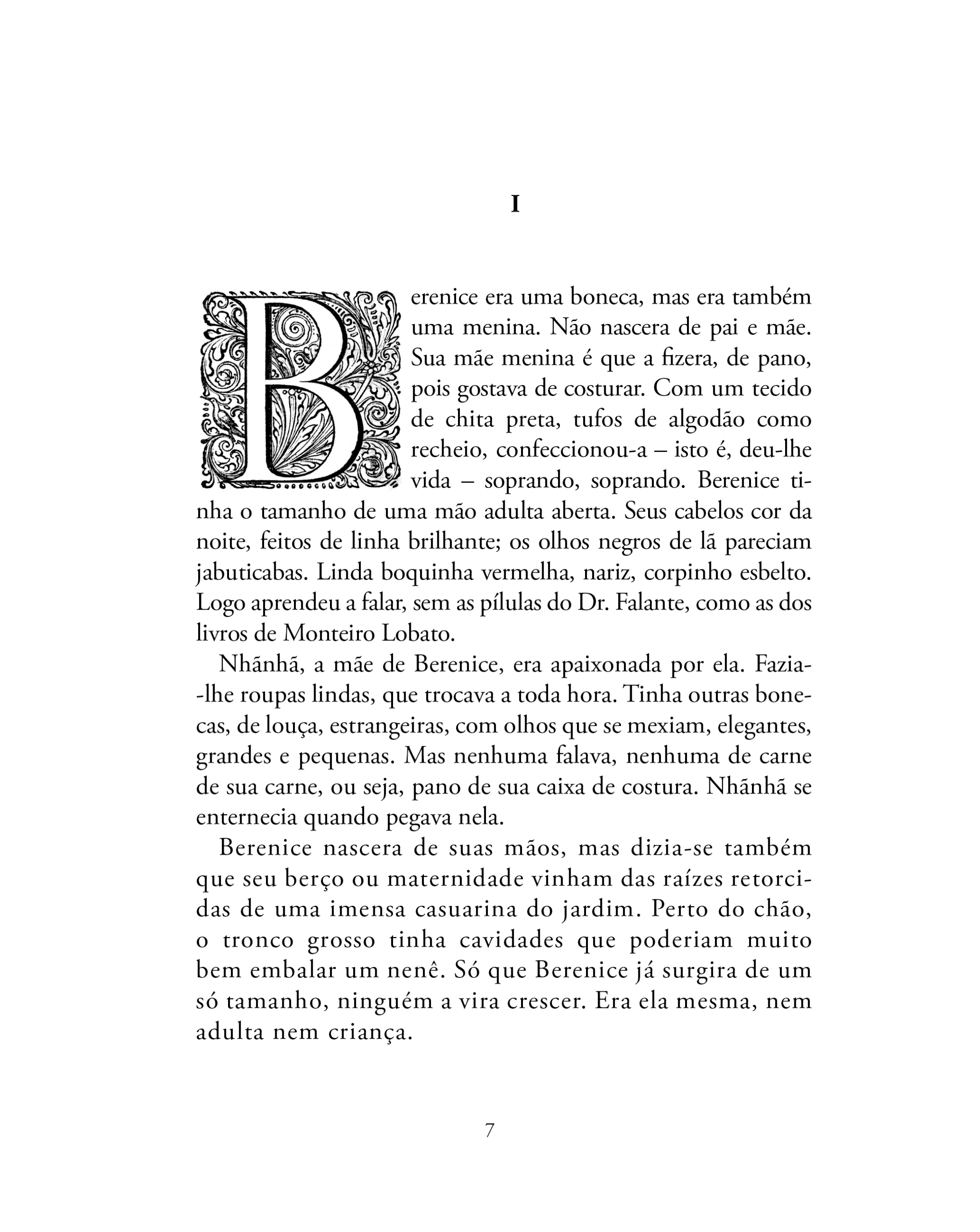 Berenice, a avó de si mesma - Imagem 3