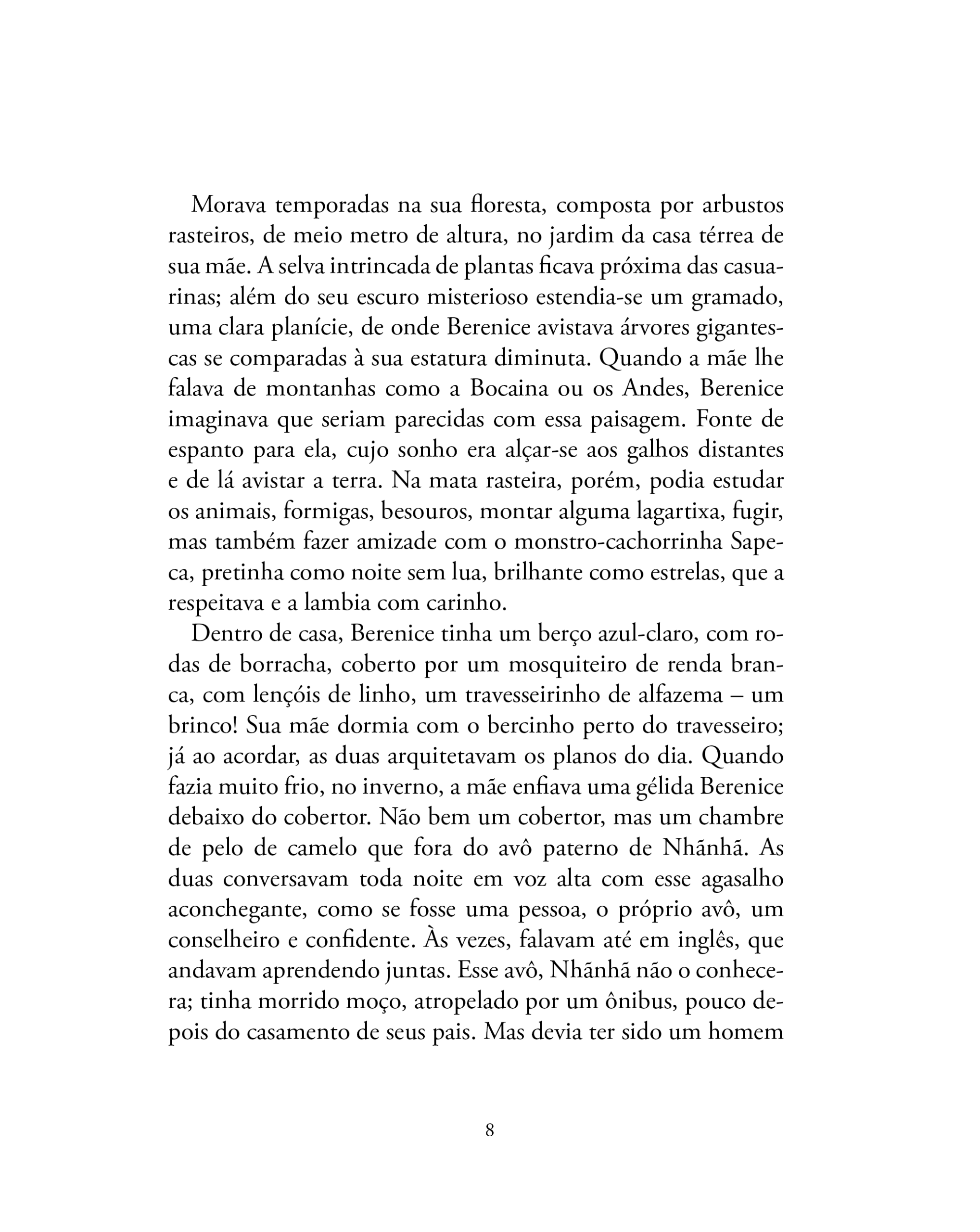Berenice, a avó de si mesma - Imagem 4