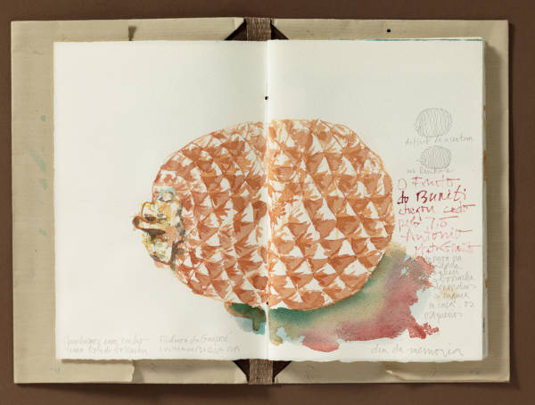 Buriti - Image 6
