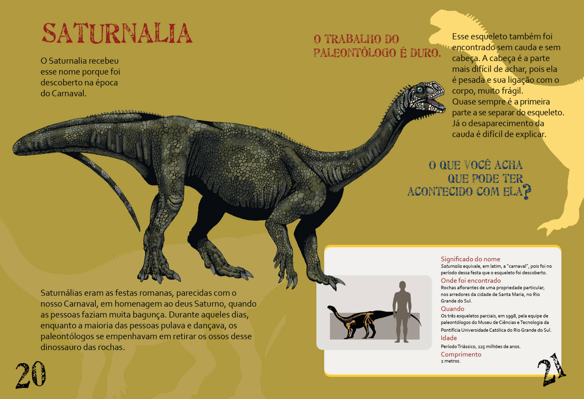 Brasil descobre seu primeiro dinossauro gigante, Ciência