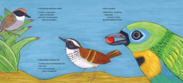 16 livros sobre patrimônio natural