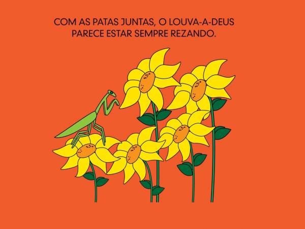 Isa e os insetos - Image 4